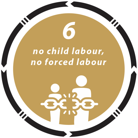 no child labour, no forcced labour