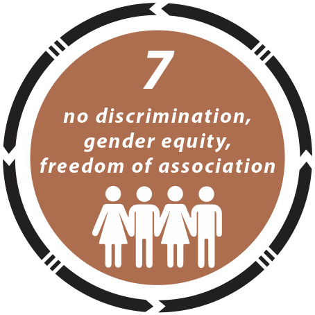 no discrimination, gender equality, freedom association