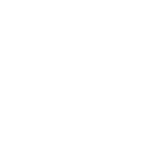 ViaVia Projects