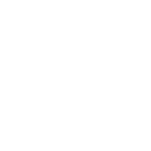 ViaVia Conscious Store Logo