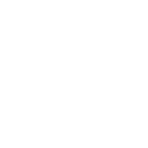 ViaVia Events Logo