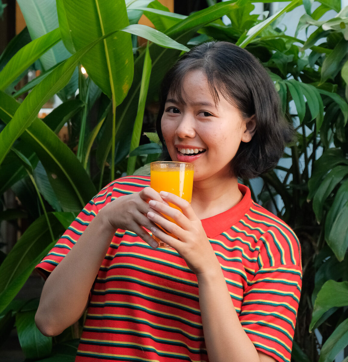 no single-use plastic nor plastic straw