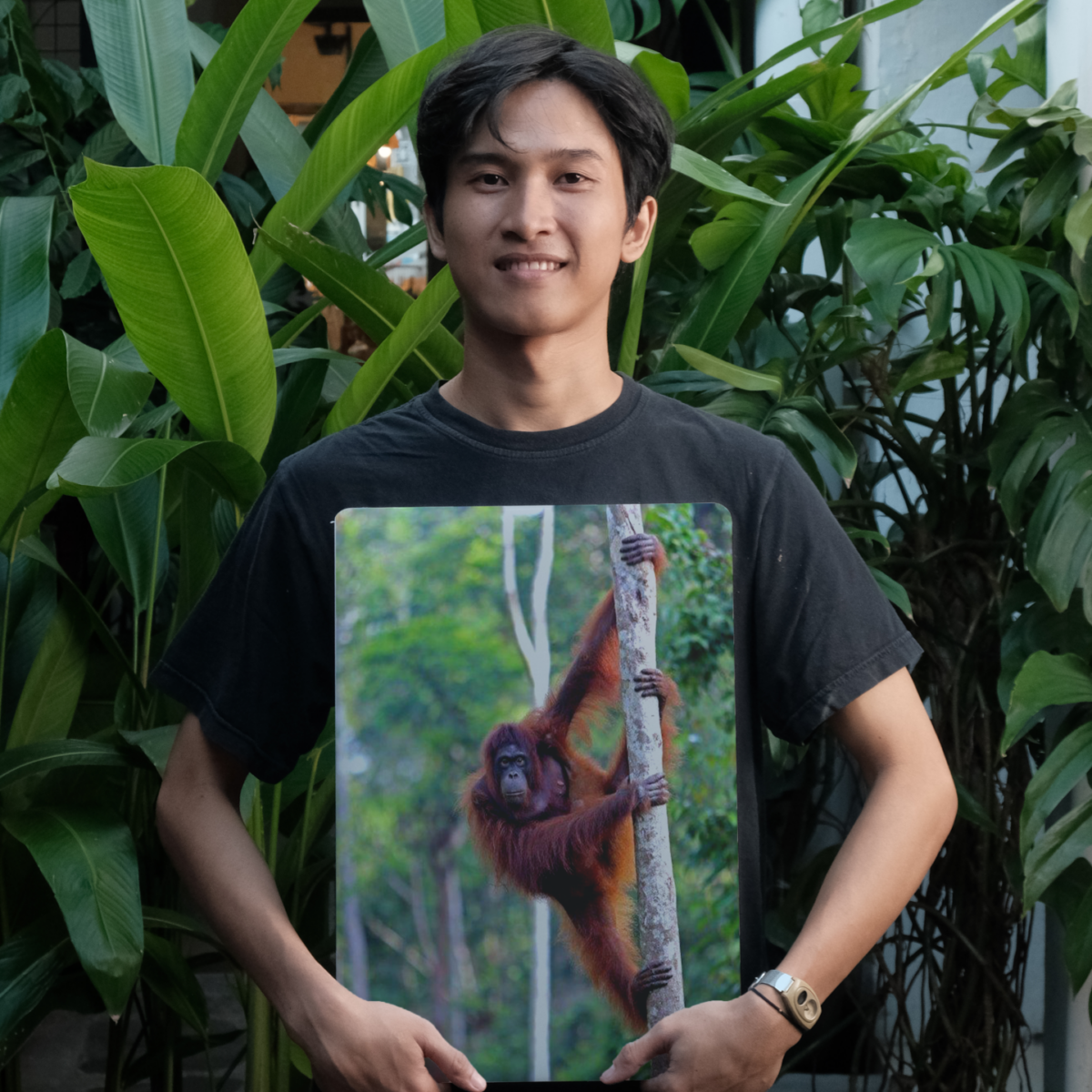 palm oil free