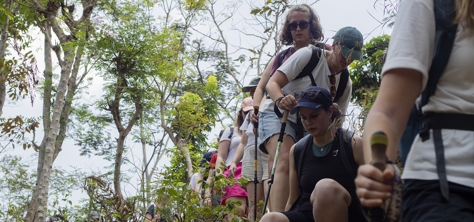 Borobudur Highlands Walk