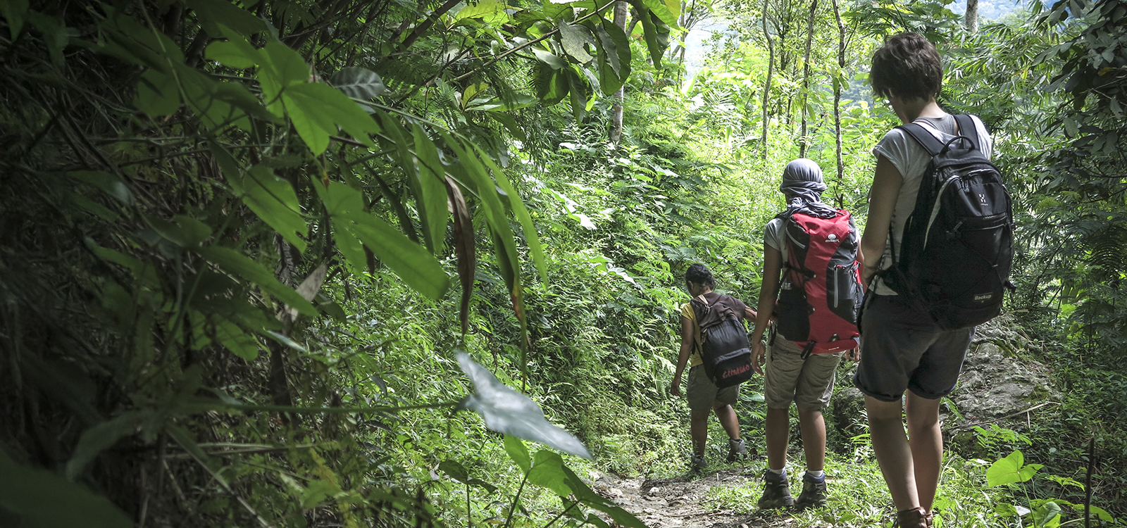 Borobudur Highlands Walk