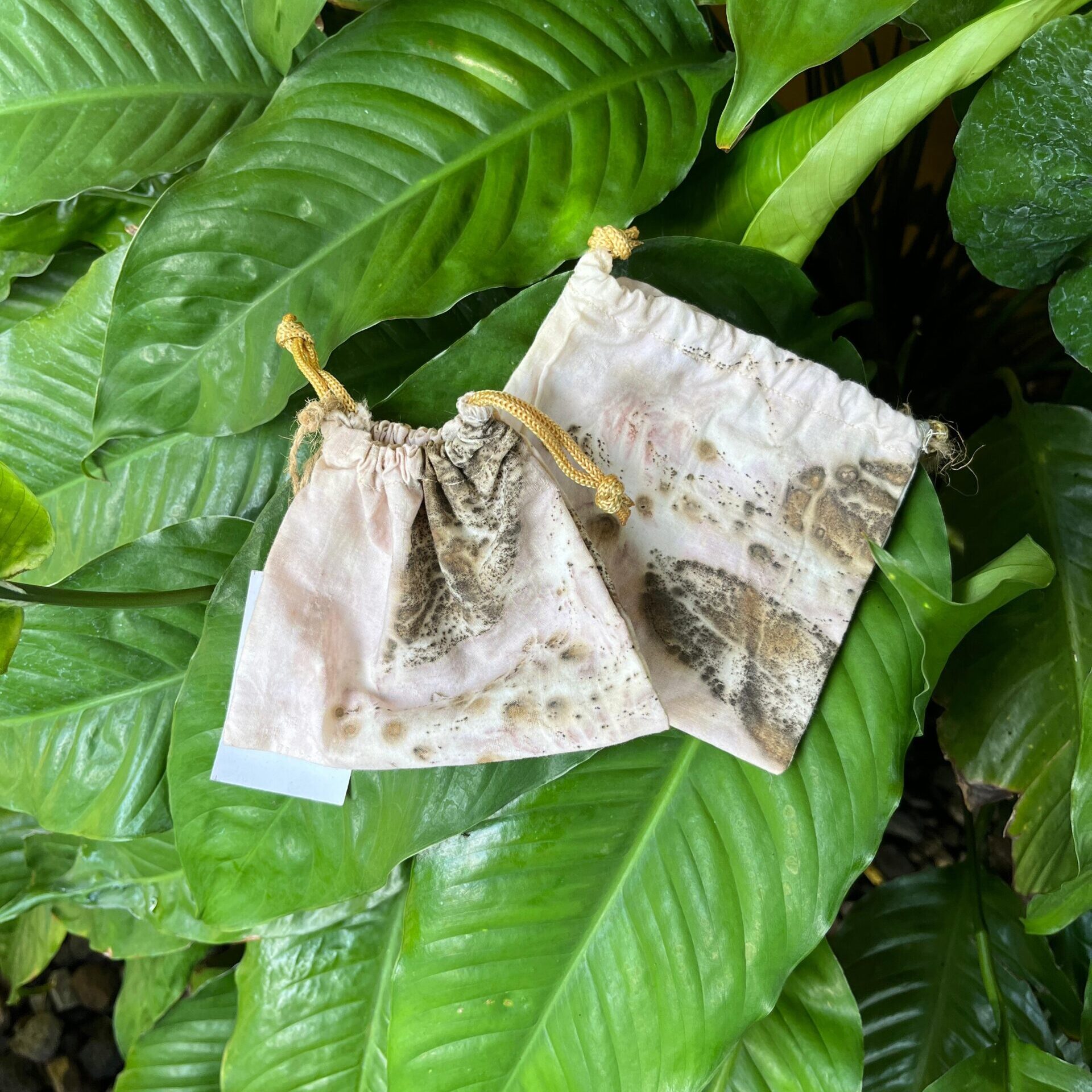Ecoprint Pouch