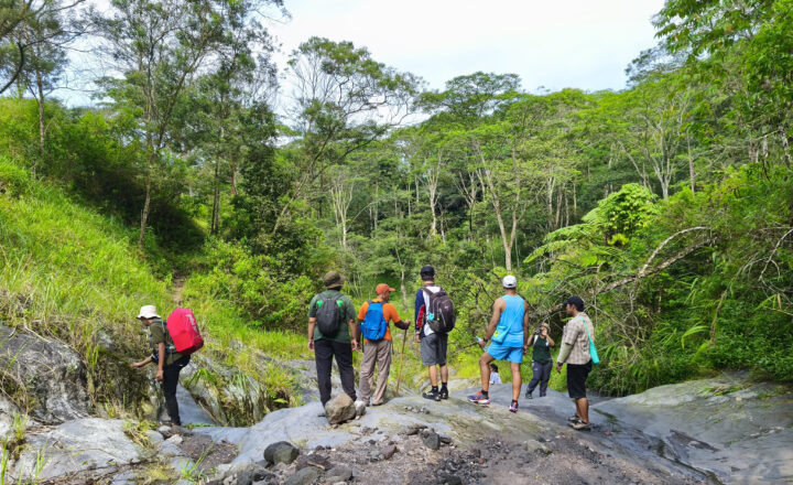 ViaVia Travel: New Adventures SOON!