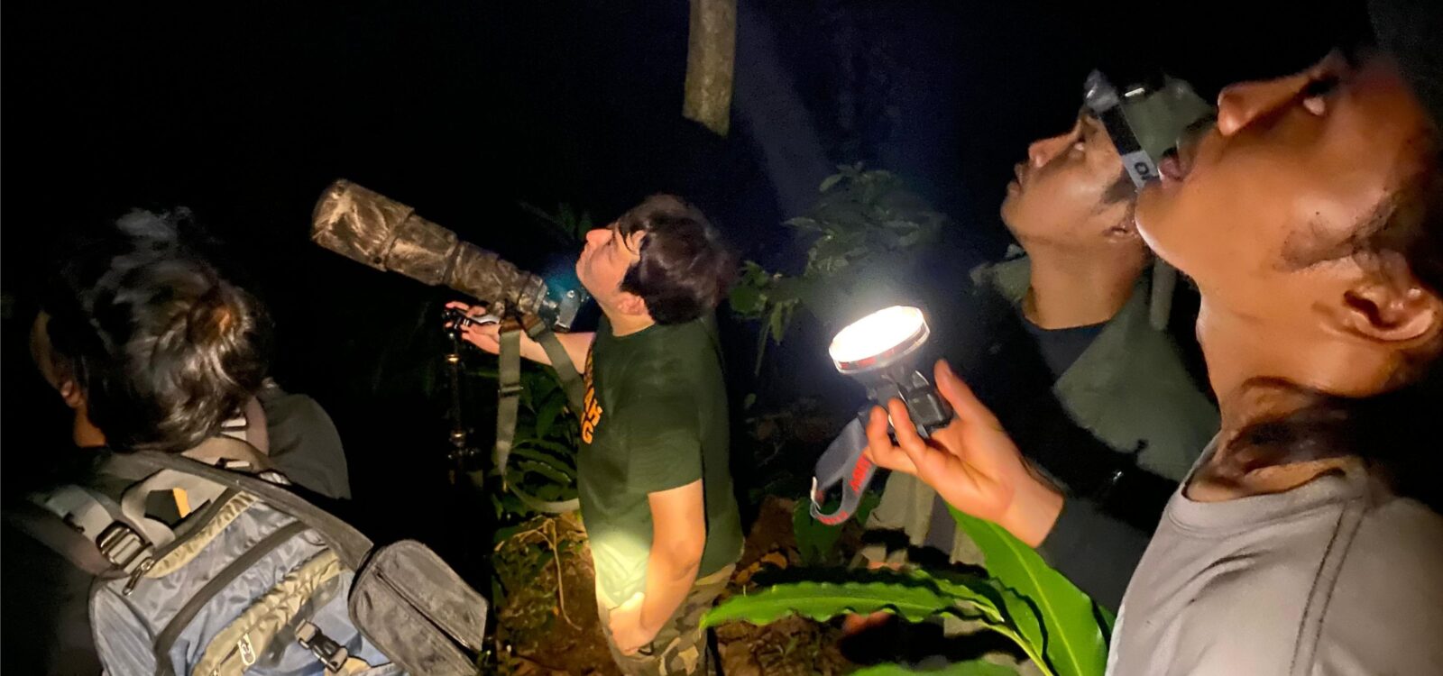 NEW Java: Exploring Java’s Wildlife