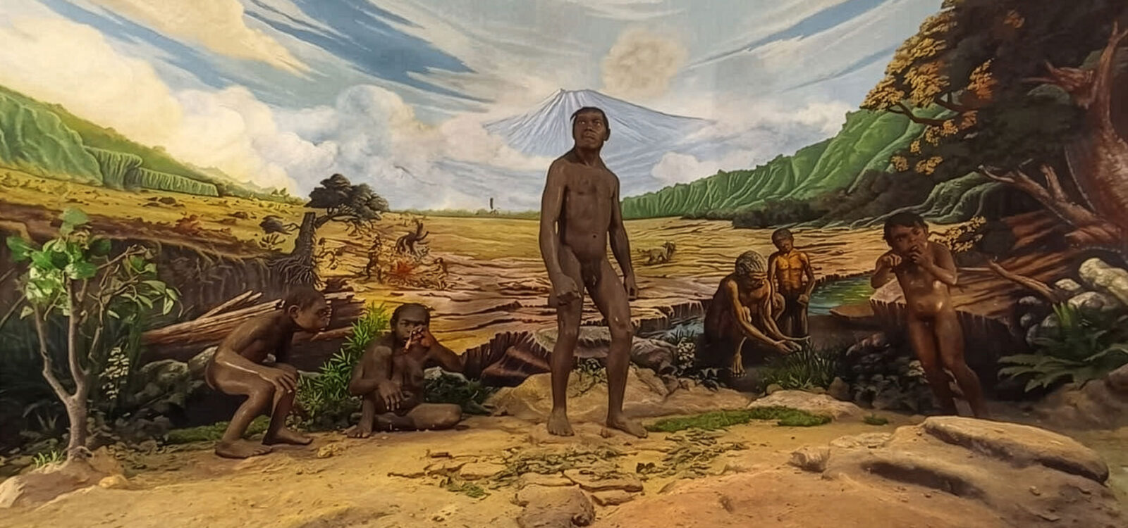 NEW: Overland East Java to Bali 3 (Sangiran, Bromo, and Ijen)