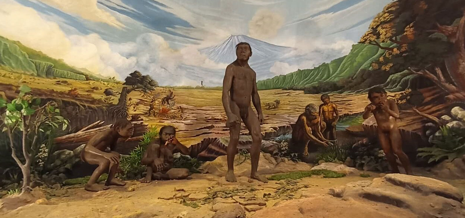 NEW: Overland East Java to Bali 3 Tracing Java Man (Sangiran, Bromo, and Ijen)