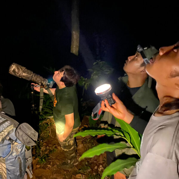 NEW Java: Exploring Java’s Wildlife
